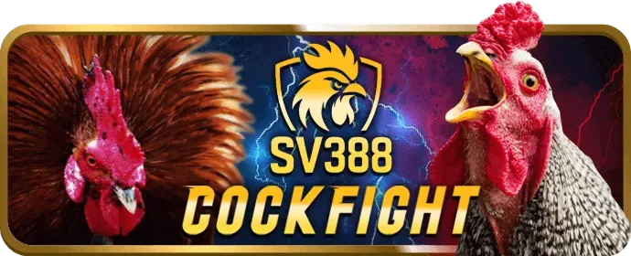 Chương trình VIP vang88 với các cấp độ và lợi ích
